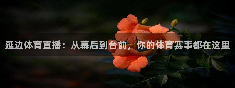 延边体育直播：从幕后到台前，你的体育赛事都在这里
