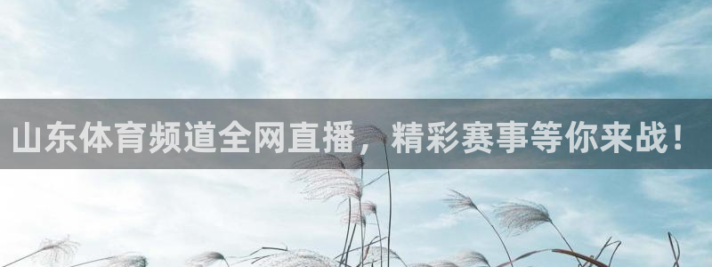 山东体育频道全网直播，精彩赛事等你来战！