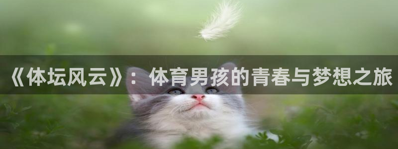 《体坛风云》：体育男孩的青春与梦想之旅
