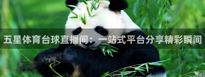 五星体育台球直播间：一站式平台分享精彩瞬间