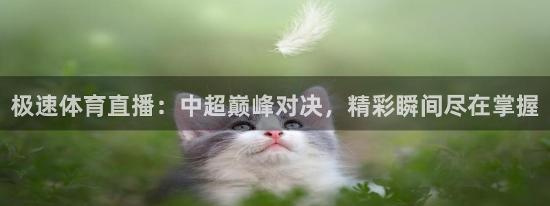 极速体育直播：中超巅峰对决，精彩瞬间尽在掌握