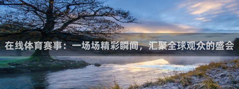 在线体育赛事：一场场精彩瞬间，汇聚全球观众的盛会