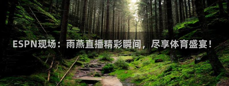ESPN现场：雨燕直播精彩瞬间，尽享体育盛宴！