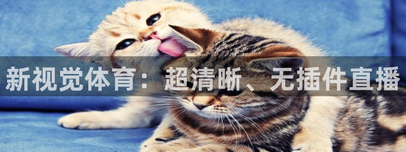 新视觉体育：超清晰、无插件直播